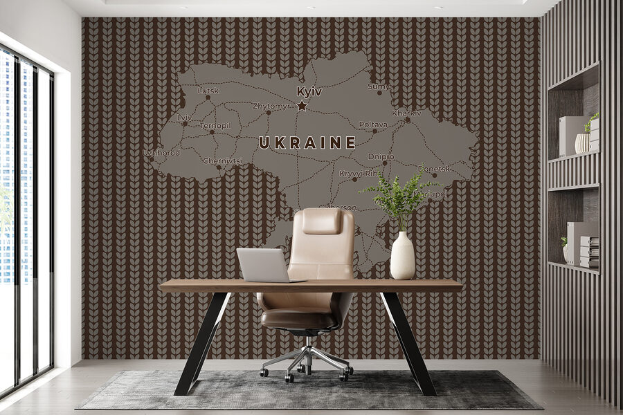 Carte de l'Ukraine avec les lignes et les villes