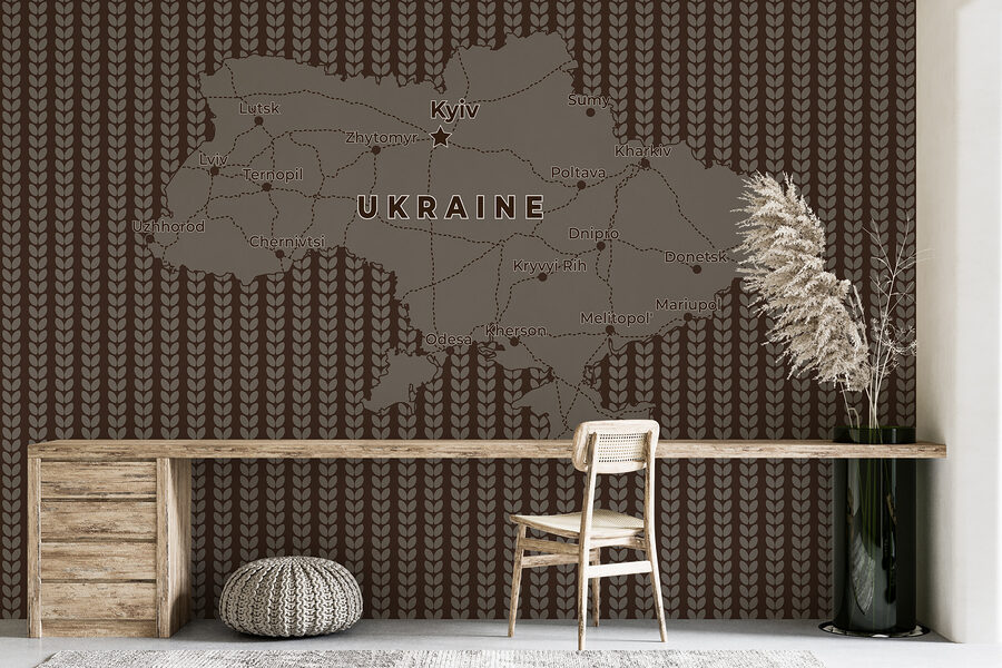Carte de l'Ukraine avec les lignes et les villes