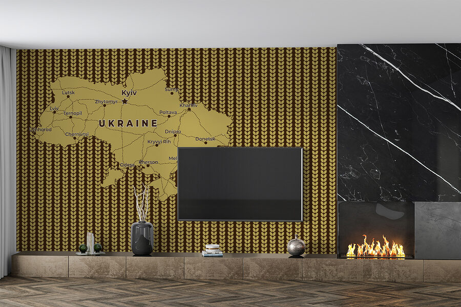 Carte de l'Ukraine avec les lignes et les villes