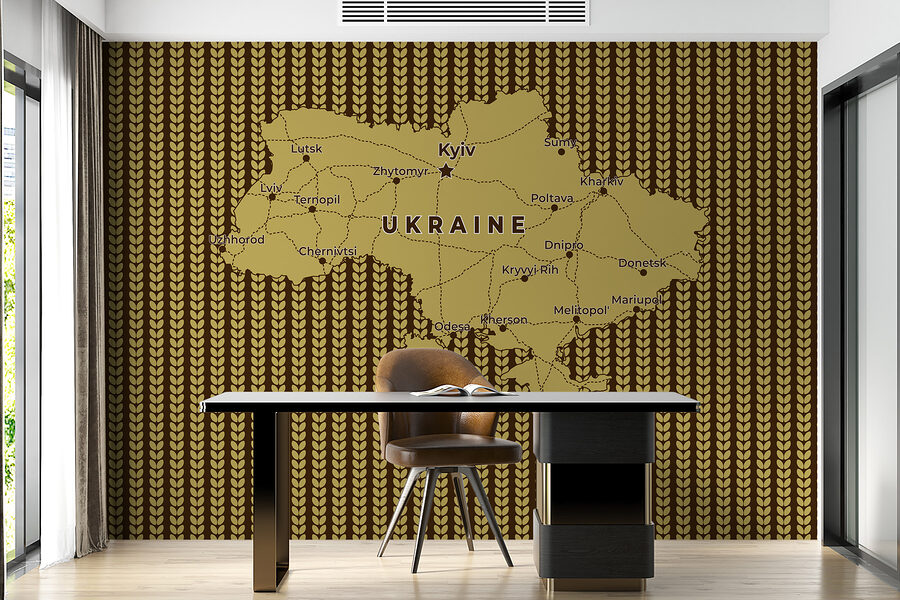 Carte de l'Ukraine avec les lignes et les villes