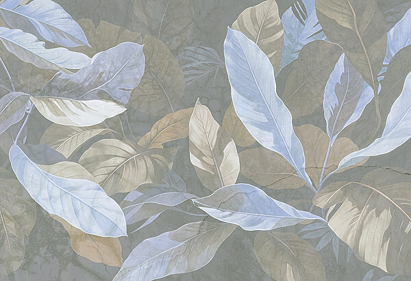 Gros plan sur les feuilles Gros plan sur les feuilles