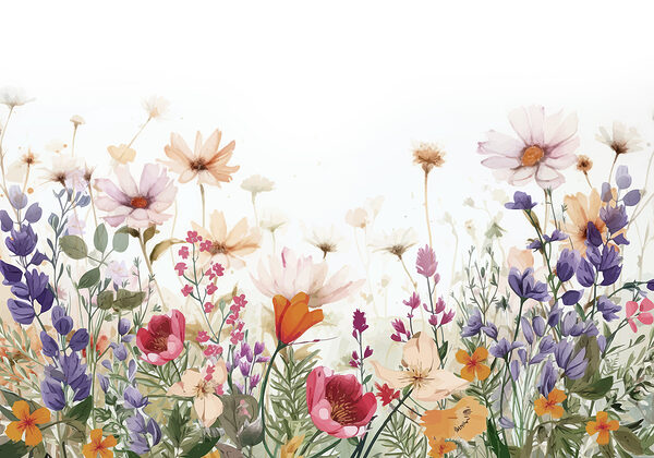 Groupe de fleurs sur fond blanc Groupe de fleurs sur fond blanc