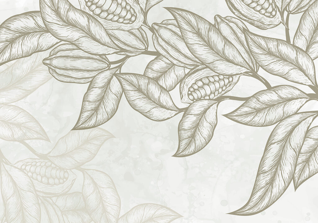 Plante avec feuilles et haricots Plante avec feuilles et haricots
