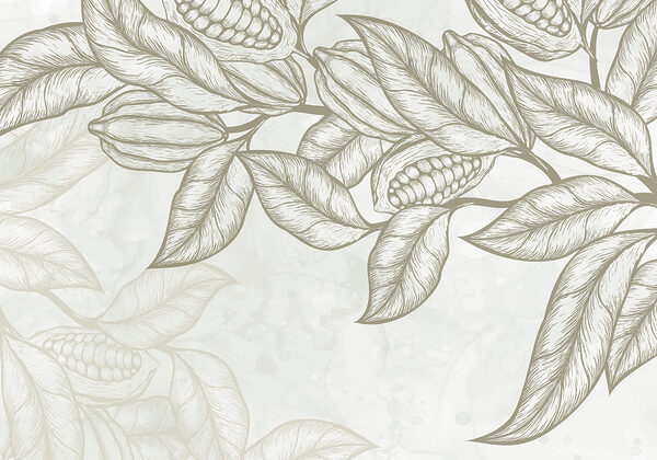 Plante avec feuilles et haricots Plante avec feuilles et haricots