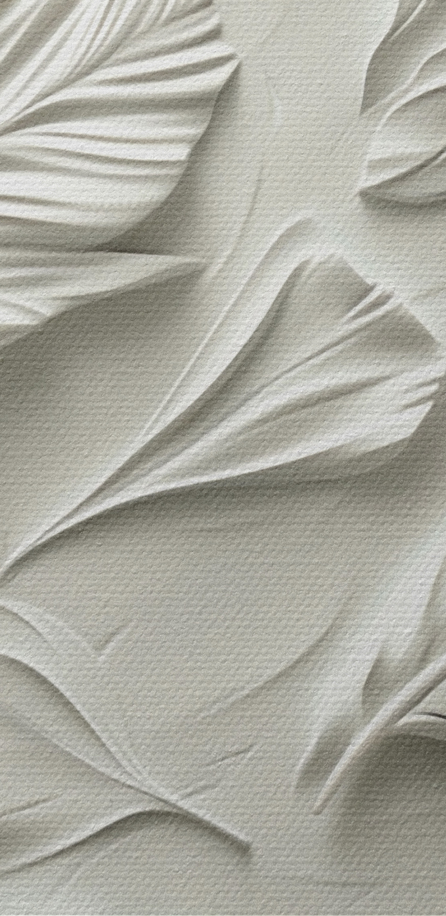 Sculpture de plumes blanches sur un mur