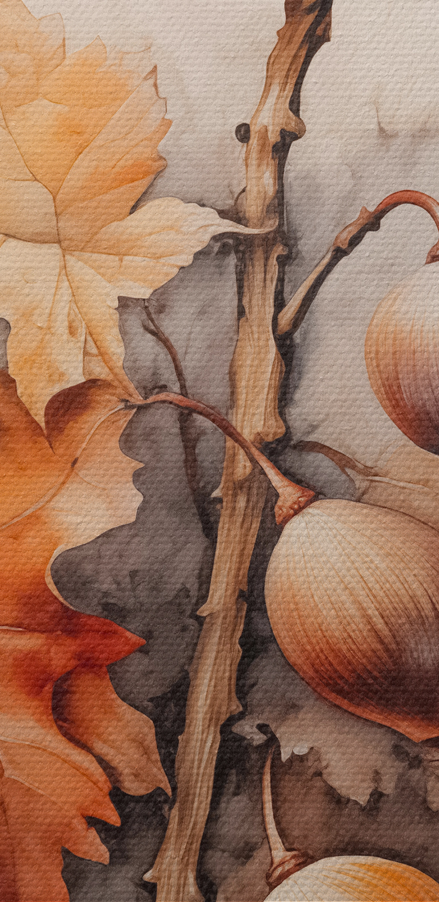 Glands et feuilles sur une branche sur fond blanc