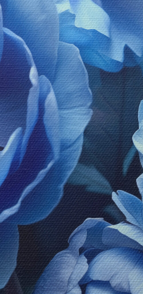 Group of blue flowers
