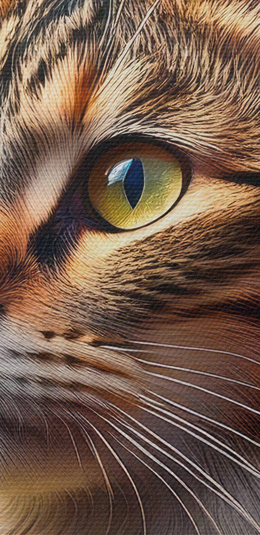 Chat dans un jardin de fleurs Chat dans un jardin de fleurs