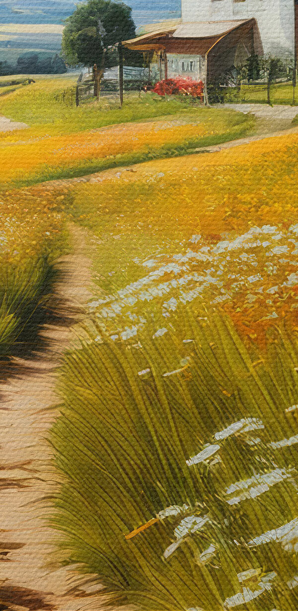 Chemin à travers un champ de fleurs Chemin à travers un champ de fleurs