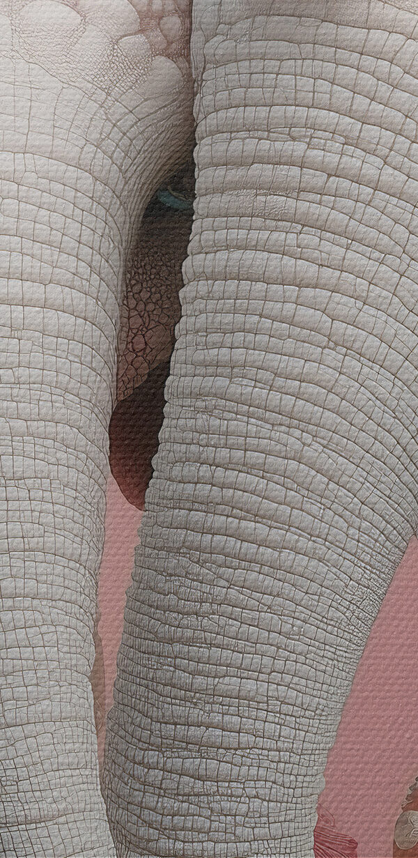 Deux éléphants avec des fleurs sur la tête Deux éléphants avec des fleurs sur la tête