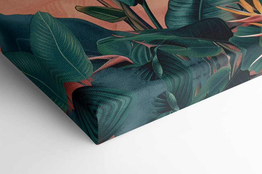 Gros plan sur une plante