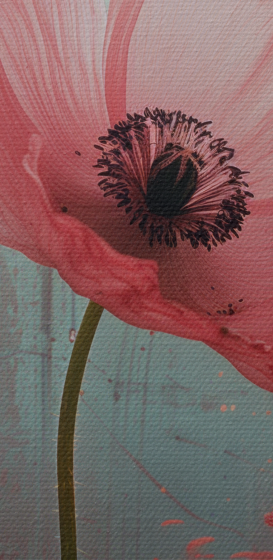 Fleurs roses dans un champ