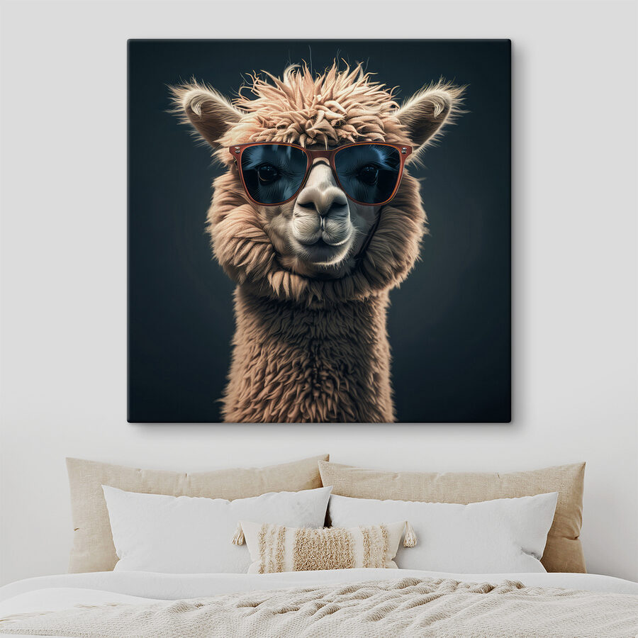 Lama portant des lunettes de soleil