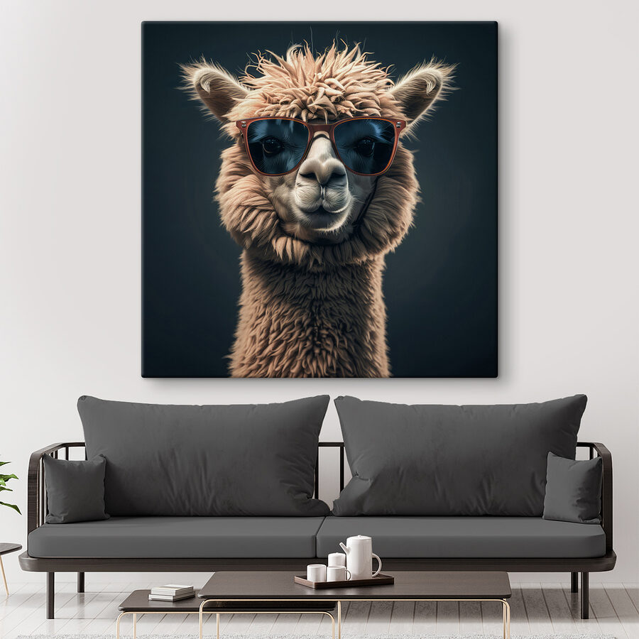 Lama portant des lunettes de soleil