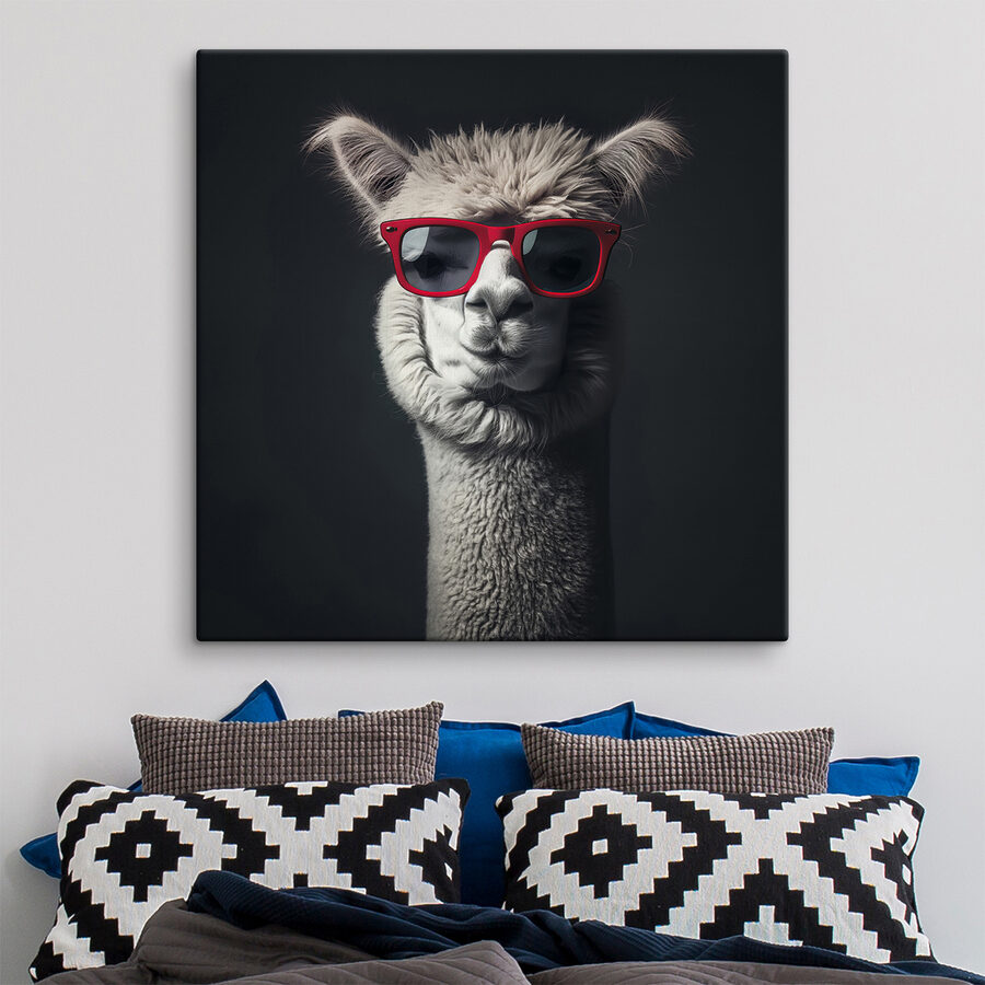 Lama portant des lunettes de soleil rouges