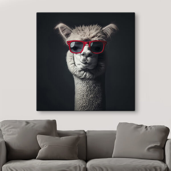 Lama portant des lunettes de soleil rouges Lama portant des lunettes de soleil rouges