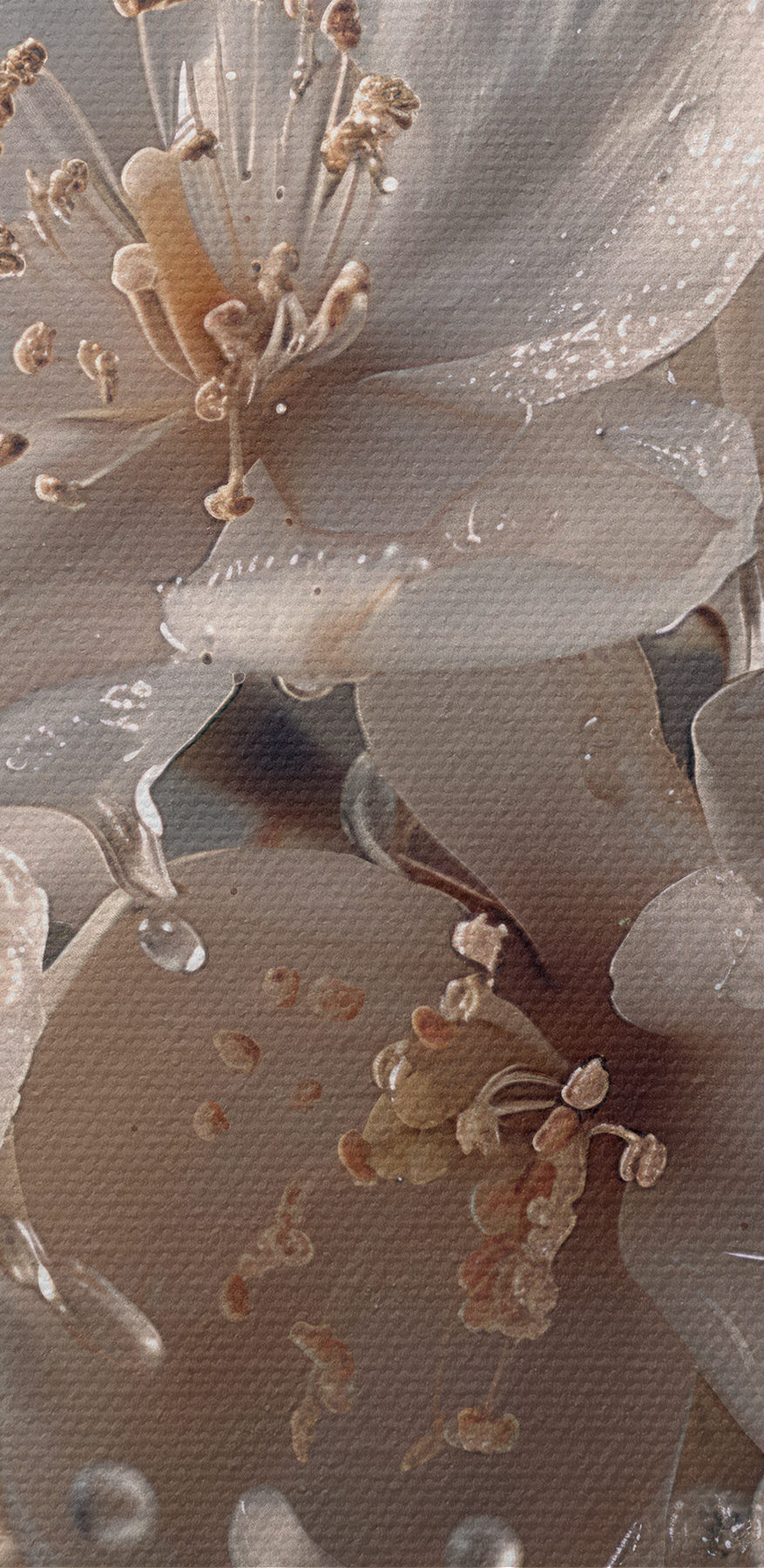 Gros plan sur des fleurs Gros plan sur des fleurs