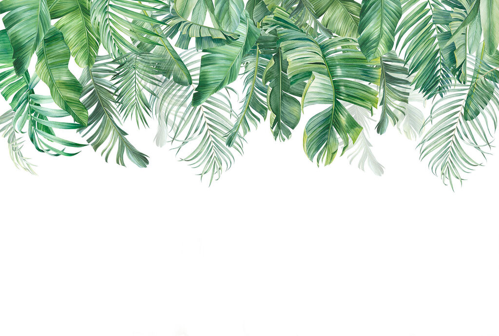 Rangée de feuilles vertes Rangée de feuilles vertes