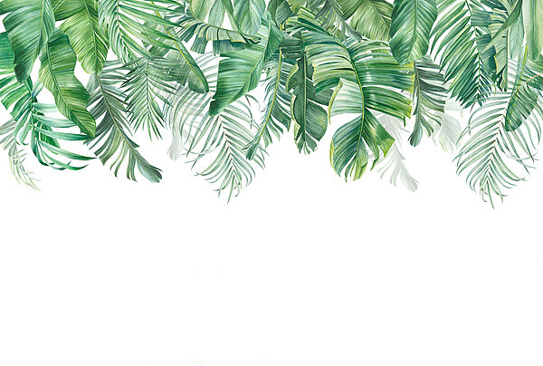 Rangée de feuilles vertes Rangée de feuilles vertes