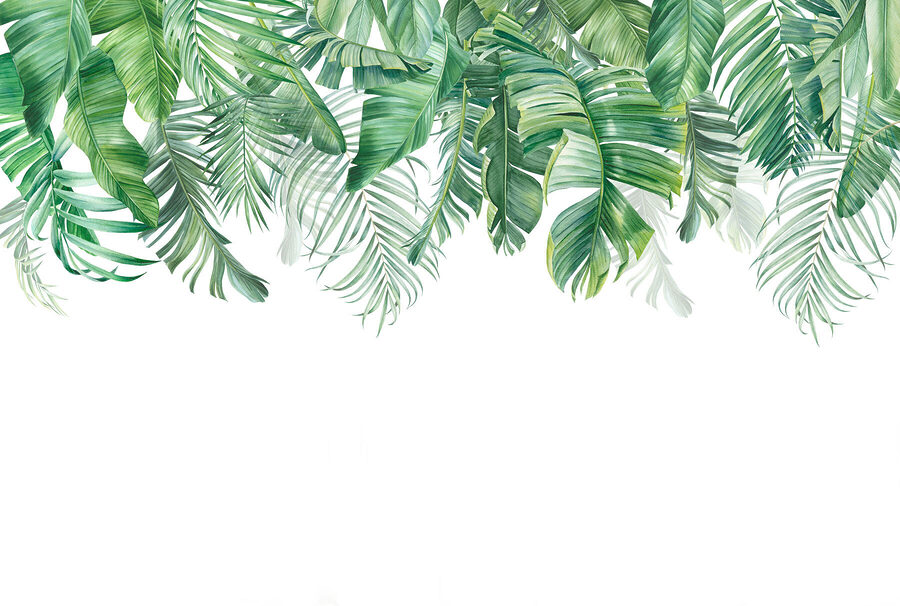 Rangée de feuilles vertes