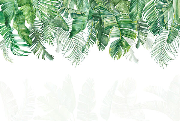 Rangée de feuilles vertes Rangée de feuilles vertes