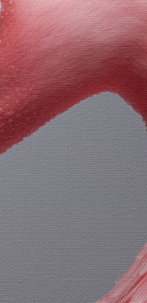 Gros plan d'un flamant rose Gros plan d'un flamant rose