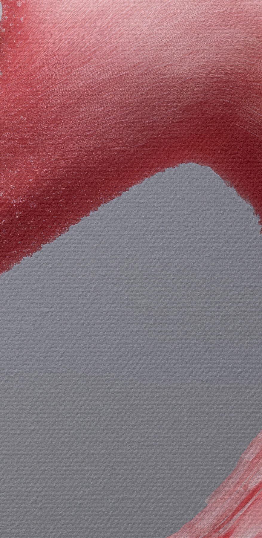 Gros plan d'un flamant rose