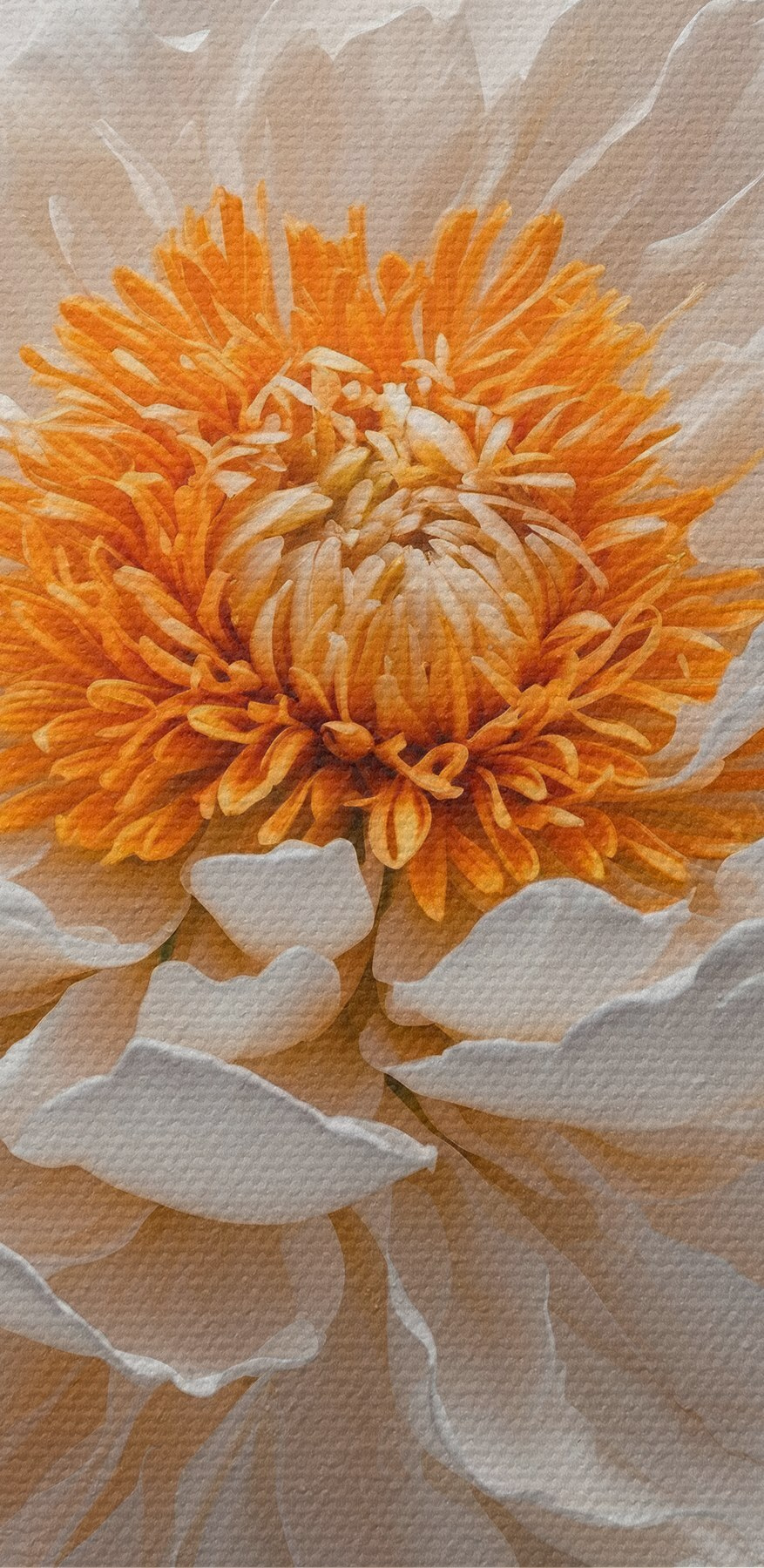 Fleur blanche avec centre orange Fleur blanche avec centre orange