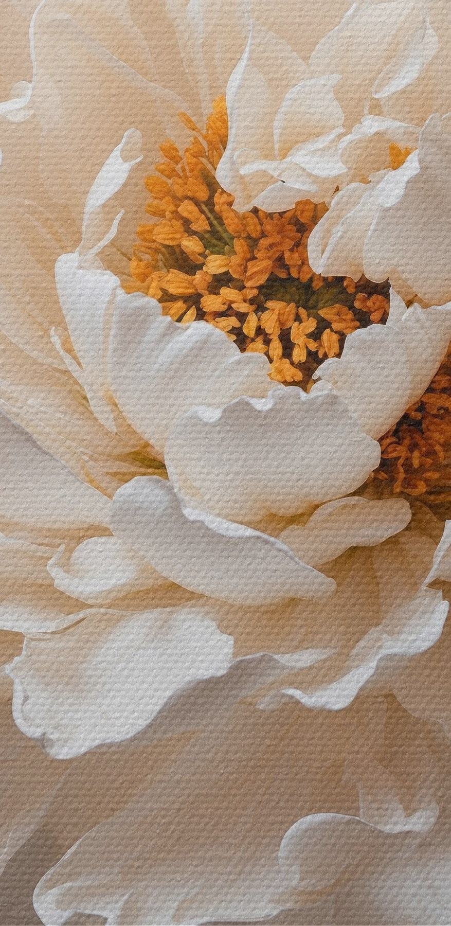 Gros plan sur une fleur