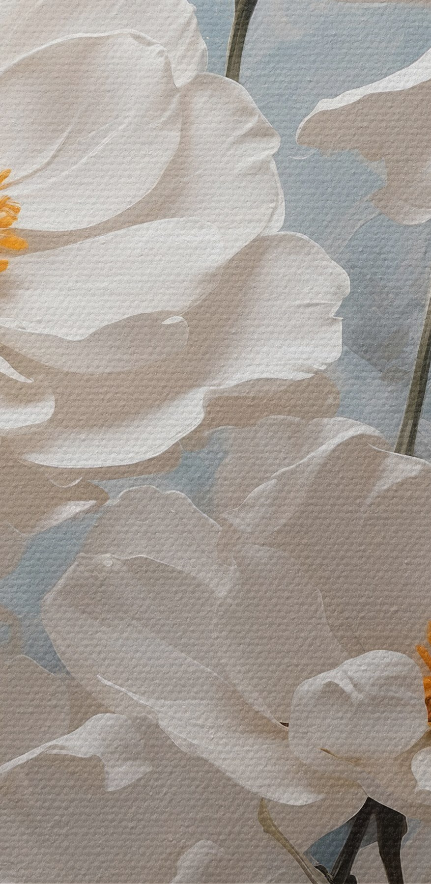 Groupe de fleurs blanches Groupe de fleurs blanches
