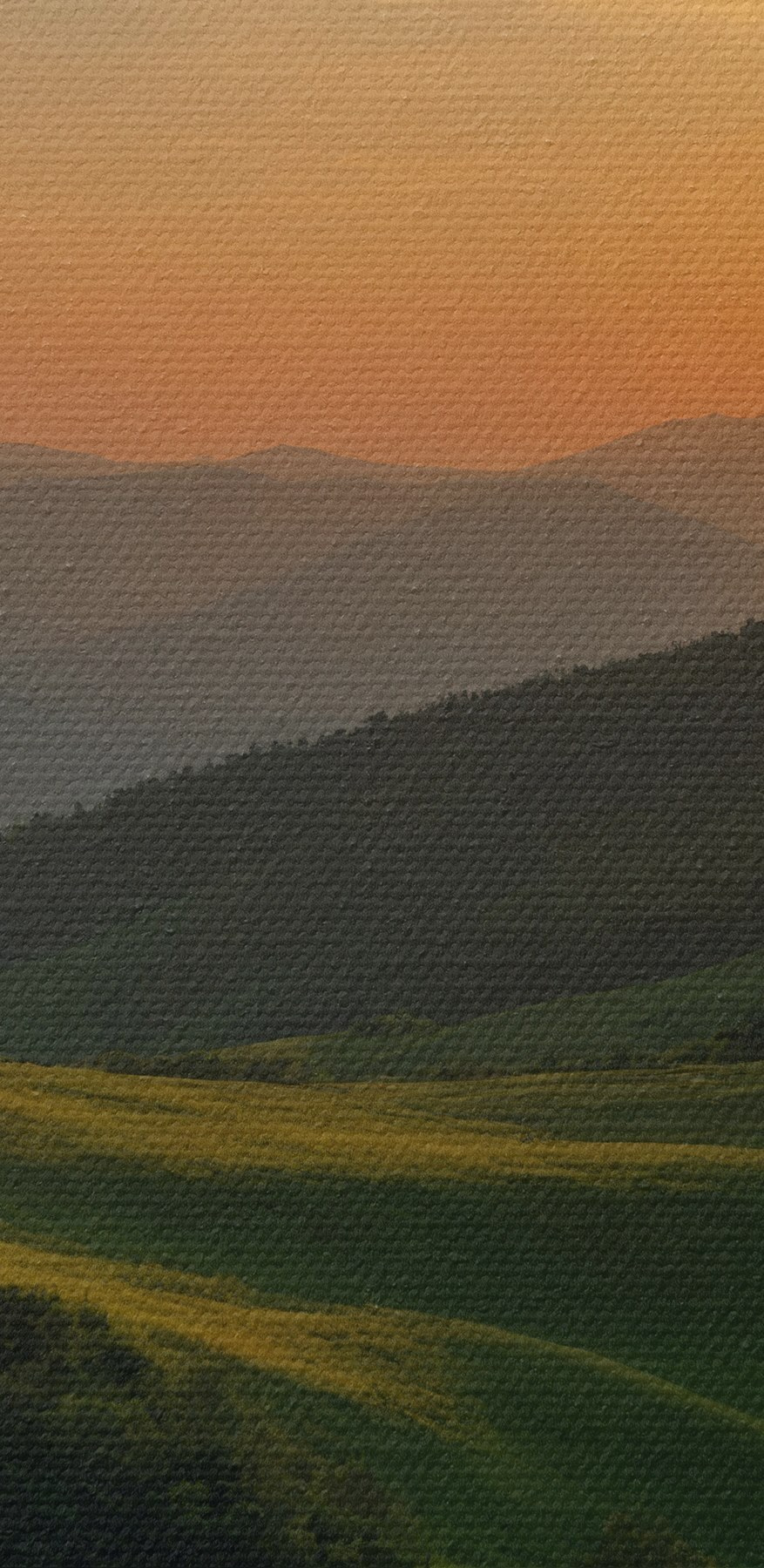 Coucher de soleil sur une colline verdoyante Coucher de soleil sur une colline verdoyante