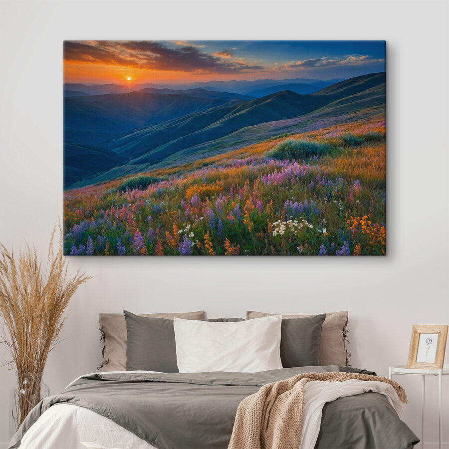 Champ de fleurs sur une montagne
