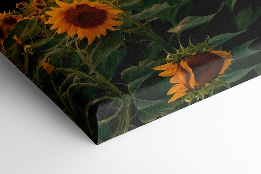 Champ de tournesols en montagne