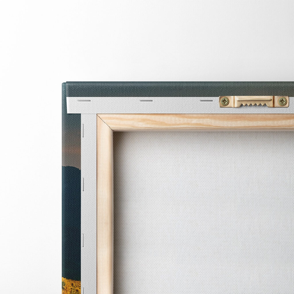 Field of sunflowers in the mountains Field of sunflowers in the mountains