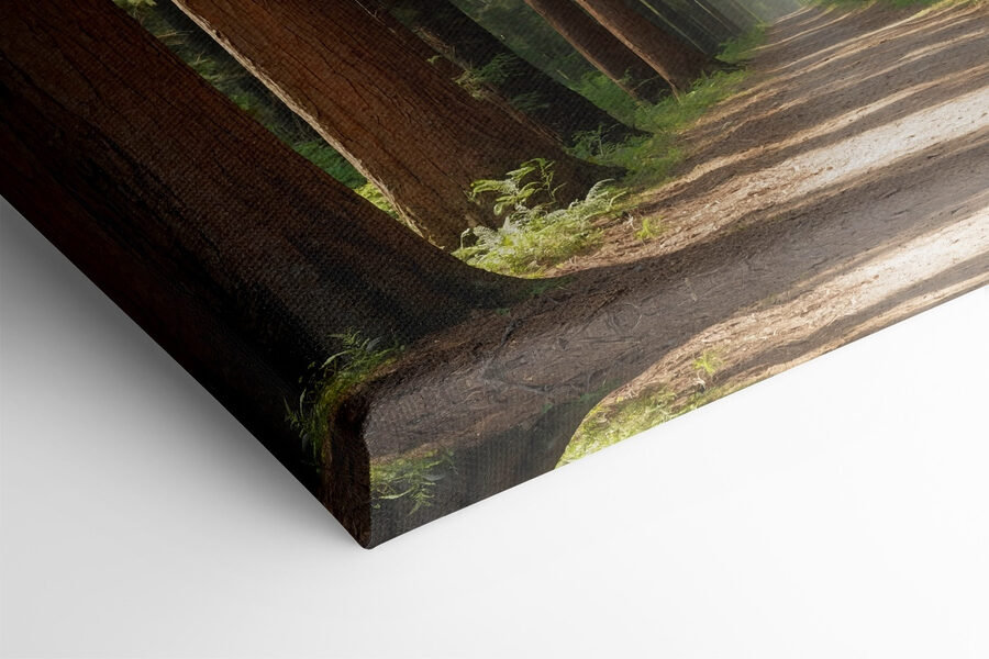 Chemin de terre à travers une forêt