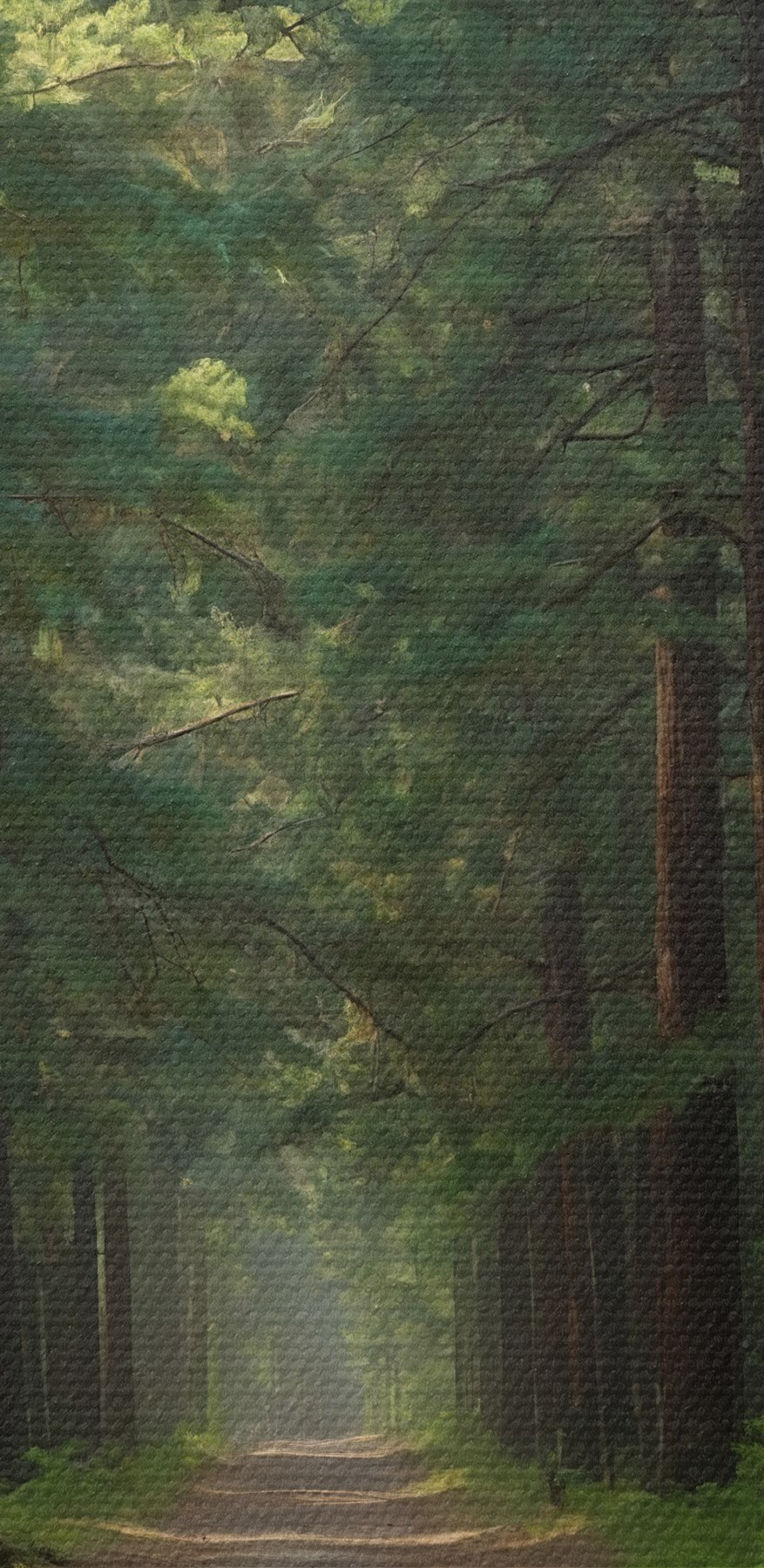 Chemin de terre à travers une forêt