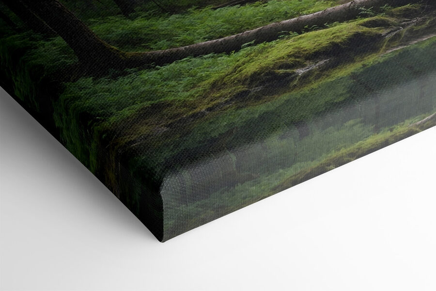 Arbre tombé au-dessus d'une étendue d'eau