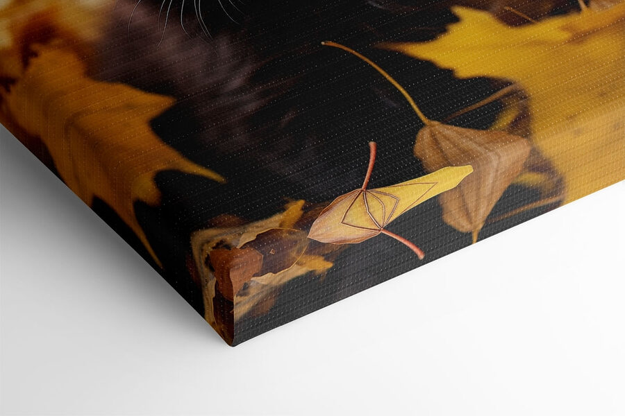 Chaton noir dans un tas de feuilles