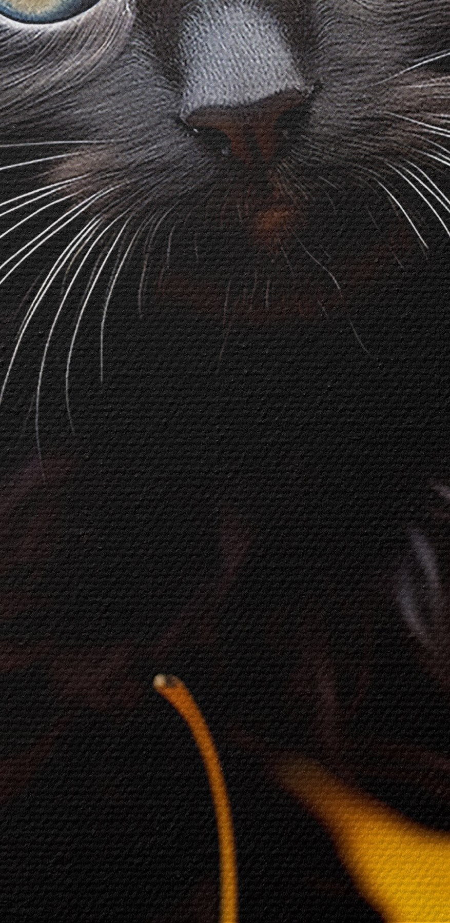 Chaton noir dans un tas de feuilles