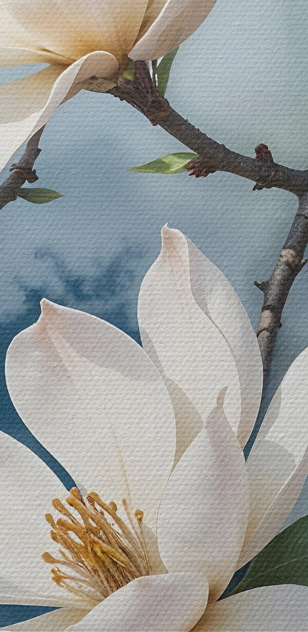 Group of white flowers on a tree branch Group of white flowers on a tree branch