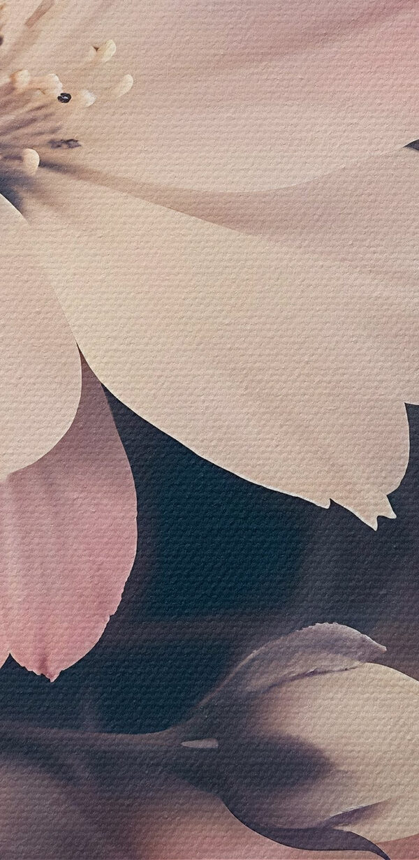 Gros plan sur des fleurs Gros plan sur des fleurs