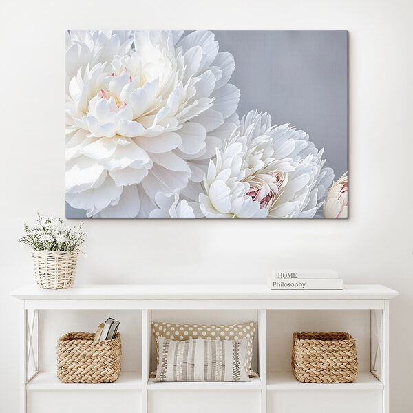 Gros plan sur des fleurs blanches Gros plan sur des fleurs blanches