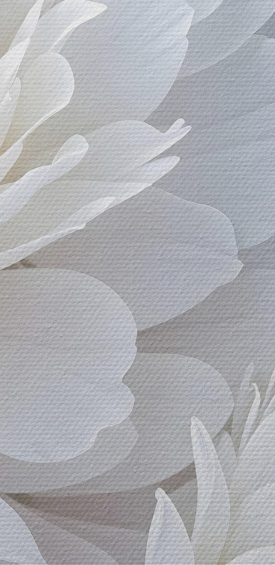 Gros plan sur des fleurs blanches Gros plan sur des fleurs blanches