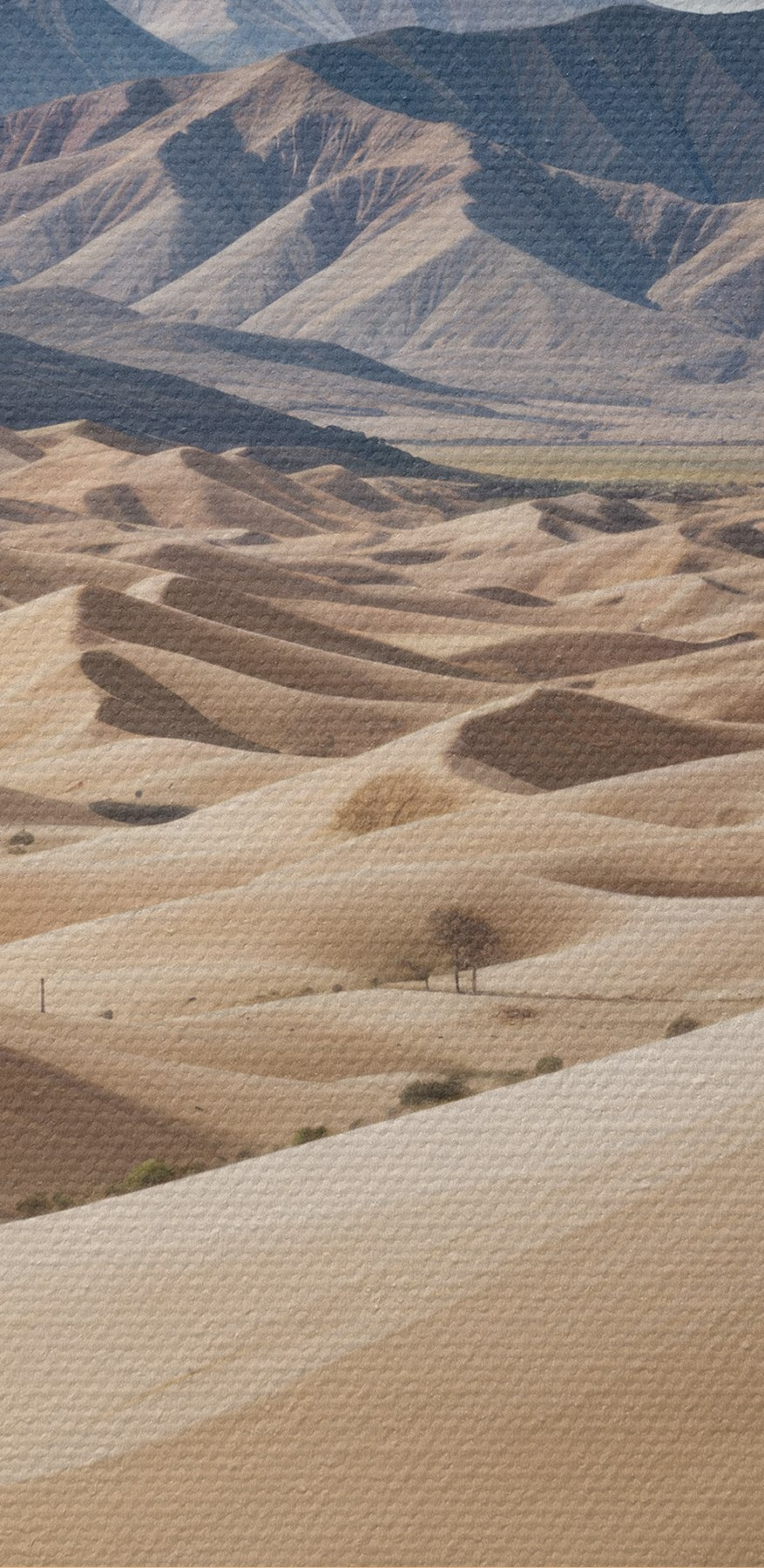 Grandes collines sablonneuses avec les montagnes en arrière-plan