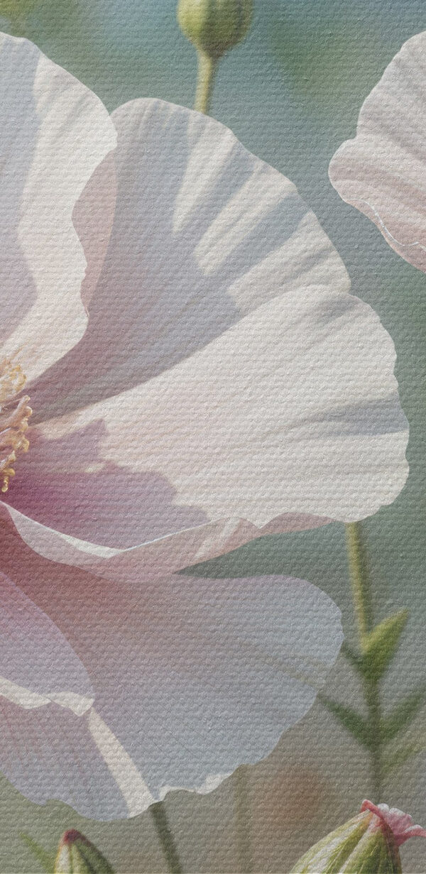 Groupe de fleurs blanches Groupe de fleurs blanches