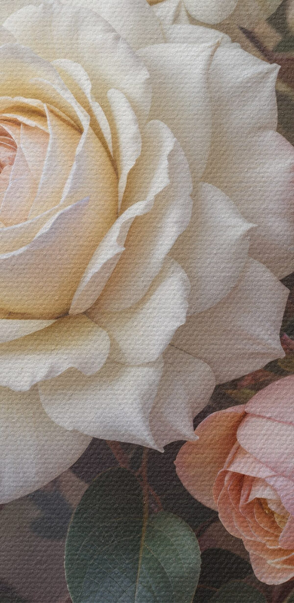 Groupe de roses blanches et roses Groupe de roses blanches et roses