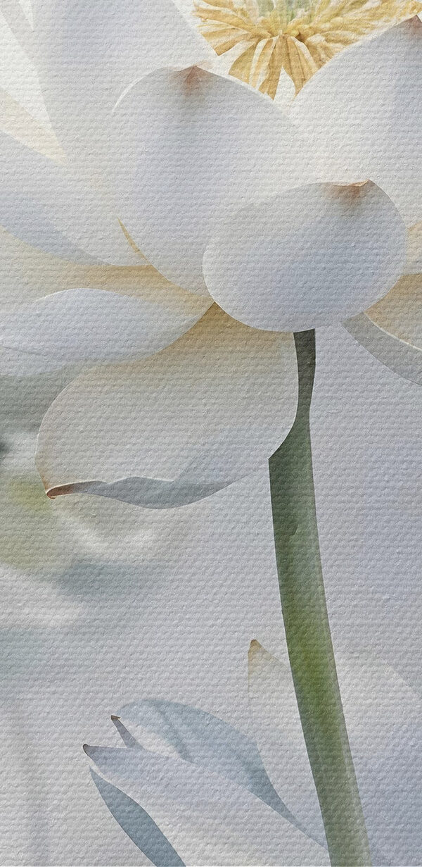 Groupe de fleurs blanches Groupe de fleurs blanches