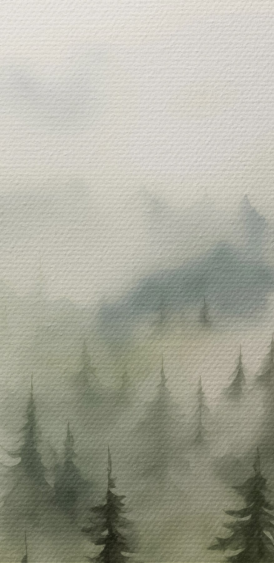 Forêt brumeuse avec des arbres