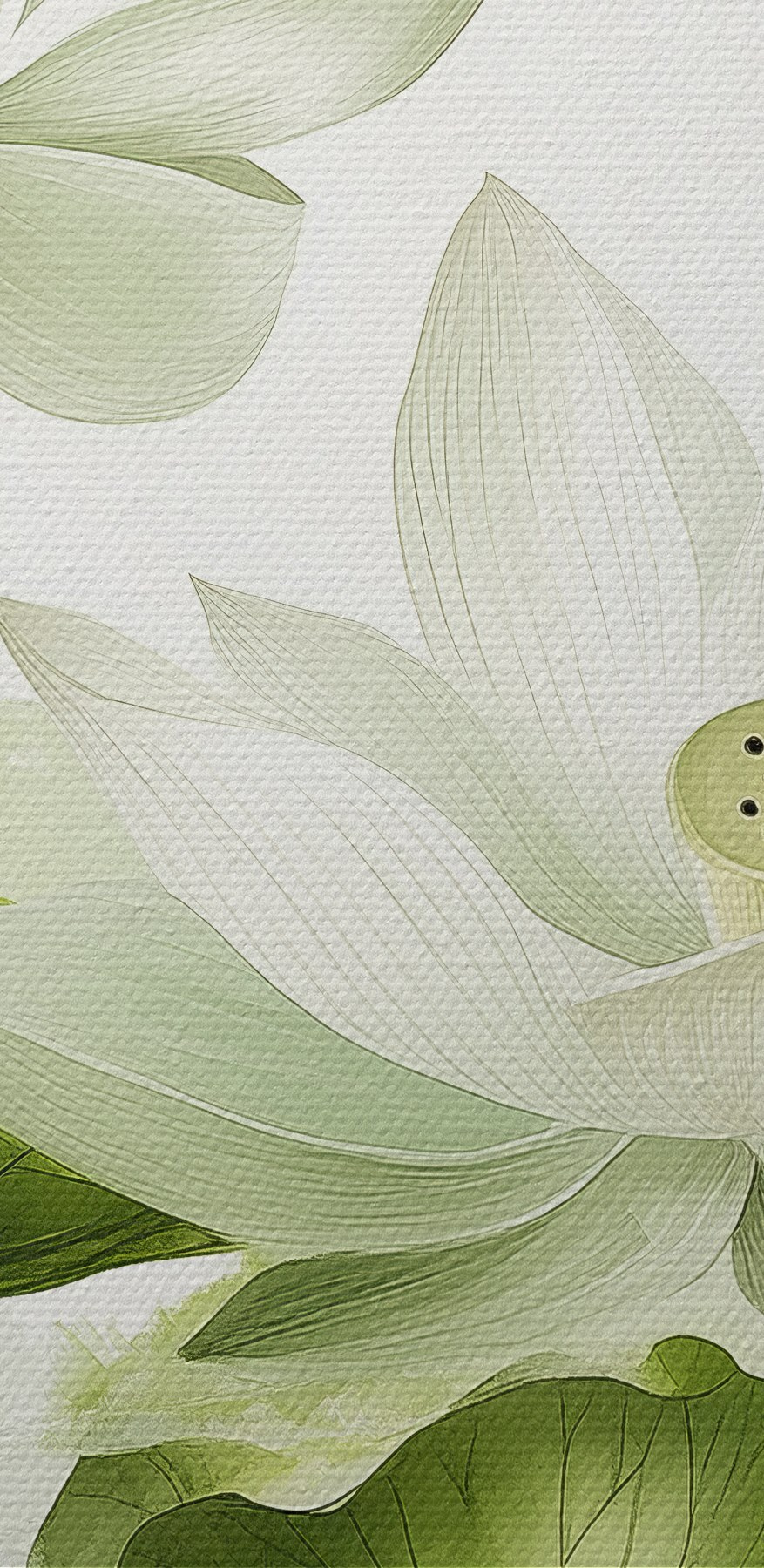 Groupe de fleurs blanches avec des feuilles vertes Groupe de fleurs blanches avec des feuilles vertes
