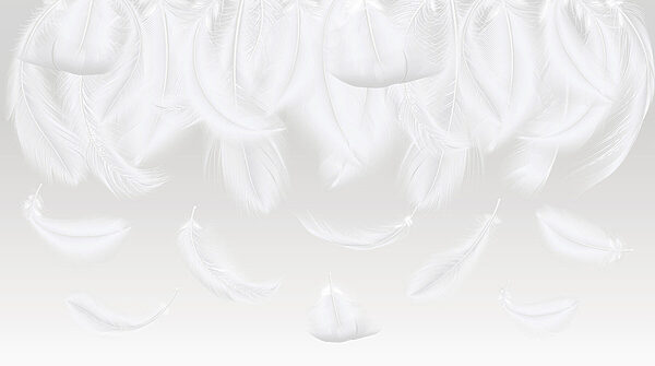 Plumes blanches tombantes Plumes blanches tombantes